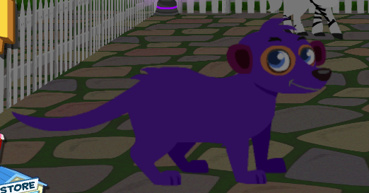 image154dGKNB54.png